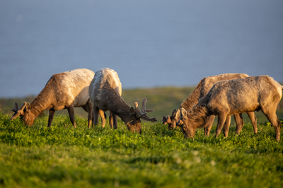 美好!推薦廣州代生助孕?