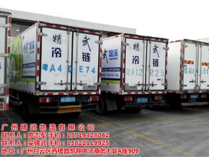 冷鏈配送 精武物流 深圳至廣州冷鏈配送