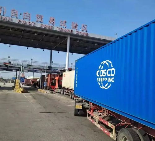 外高橋保稅區(qū) 承接全國(guó)近七成進(jìn)口血透產(chǎn)品，物流企業(yè)構(gòu)筑生命通道